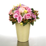 New Zealand Flower Arrangements New Zealand,:Lush Hot Pink Terracotta Pot